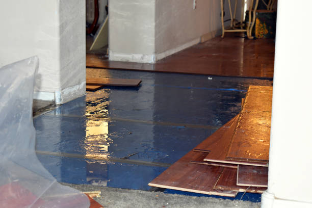 Professional Basement Flood Cleanup technician working in McDonald, PA